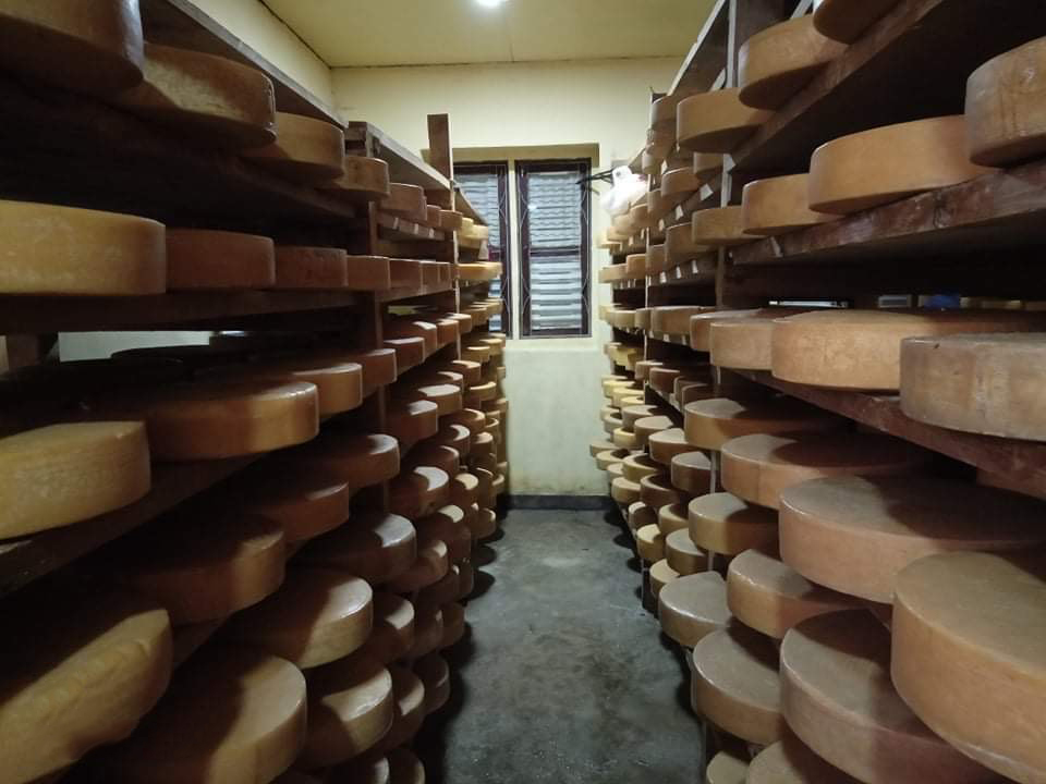 Langtang cheese
