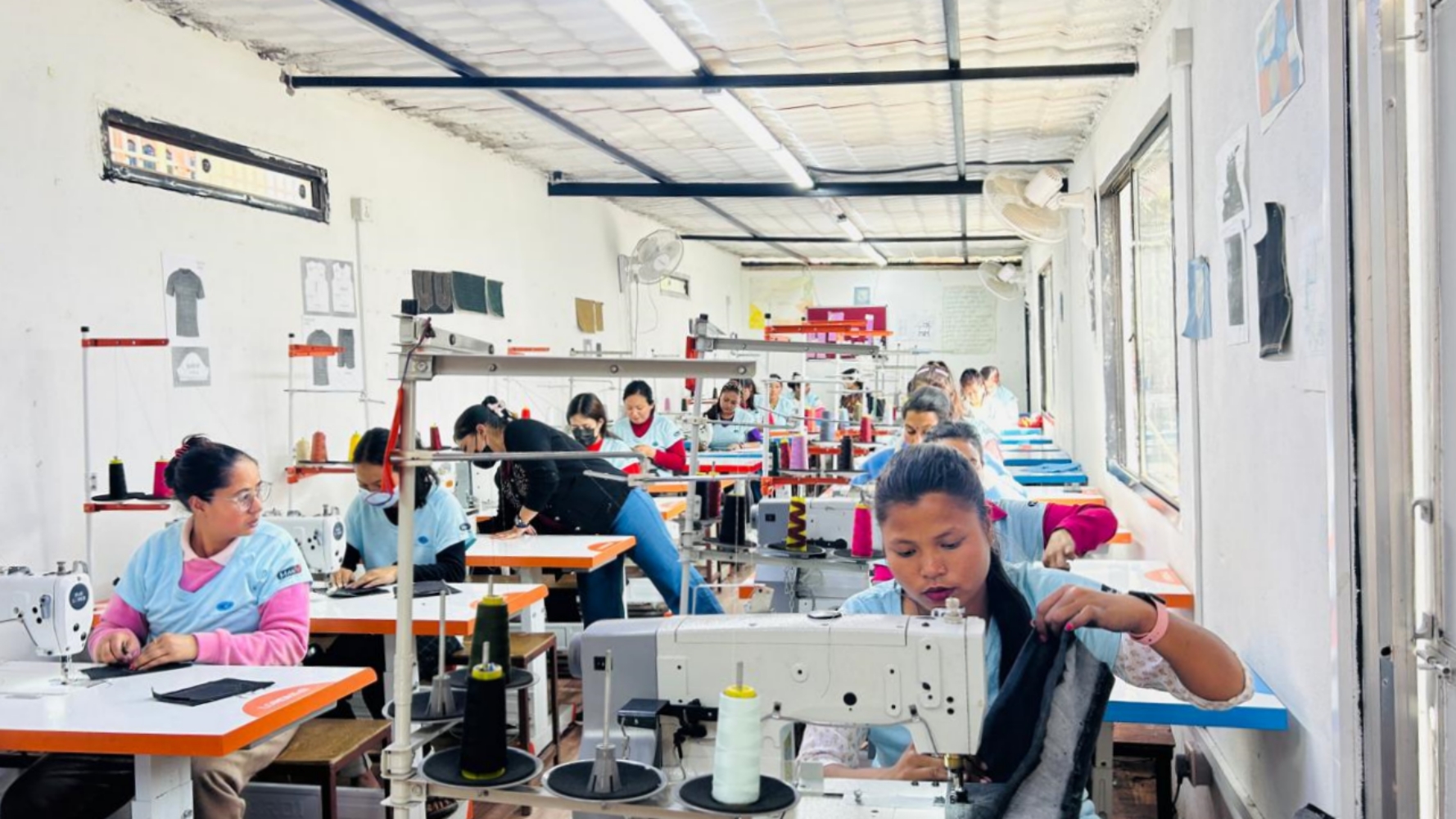 Migration, election, and war NT