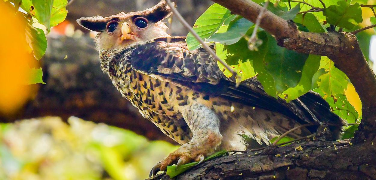 Protecting nature outside national parks