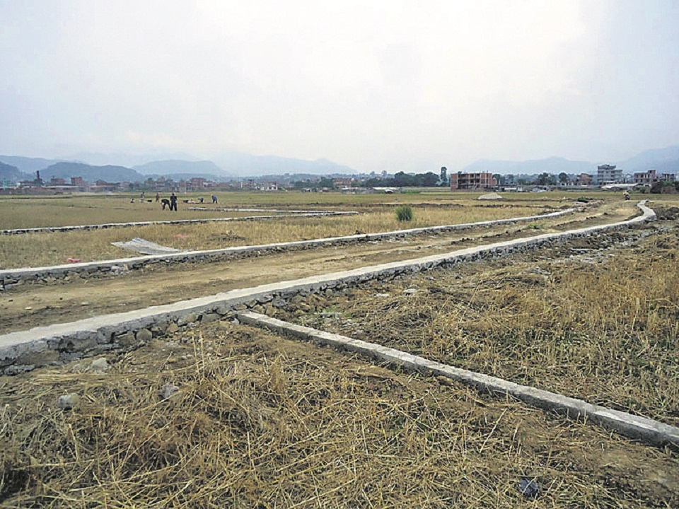 Madhes real estate