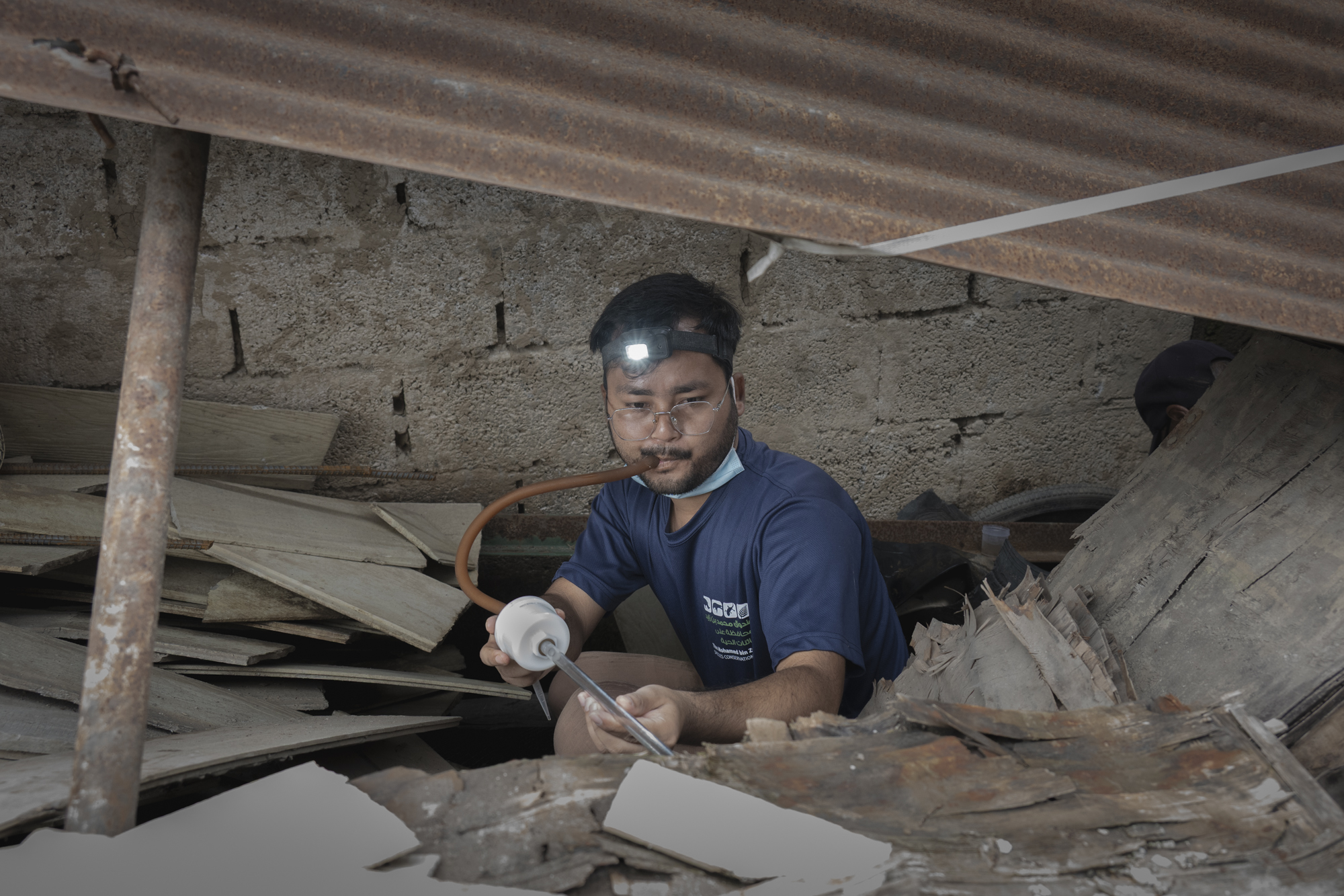 Mosquitos ascend to the base of Mt Everest NT