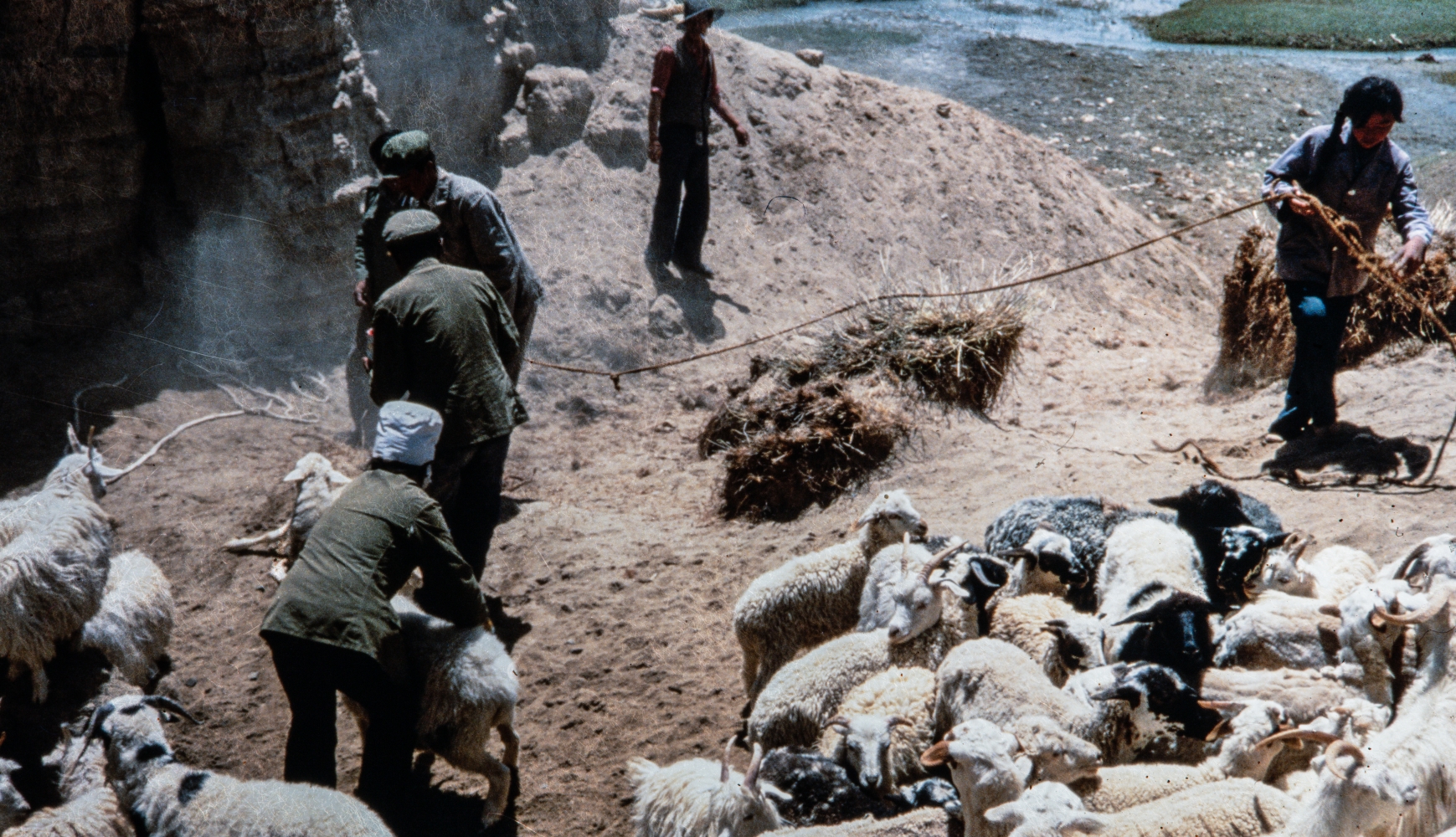 Rangelands of the Himalayan Range NT