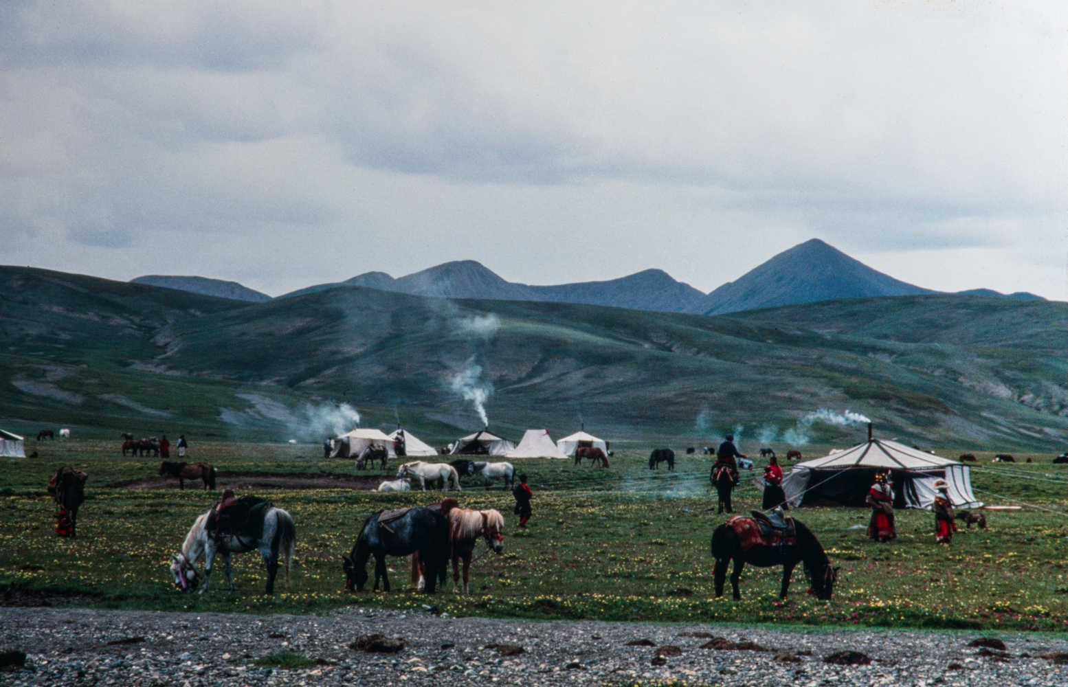 Rangelands of the Himalayan Range NT