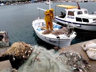 barska marina