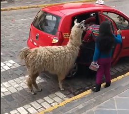 taksi Peru