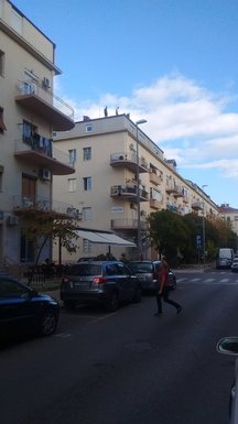 ulica balšića