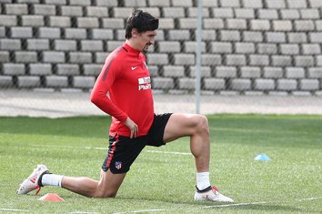 stefan savić