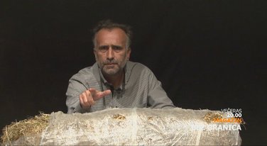 Bez granica