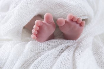 bebe