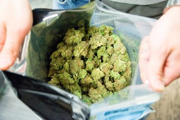 Marihuana