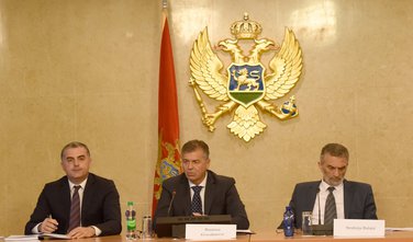 Odbor za reformu izbornog i drugog zakonodavstva, Branimir Gvozdenović, Strahinja Bulajić