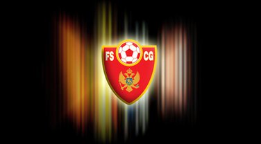 FSCG logo