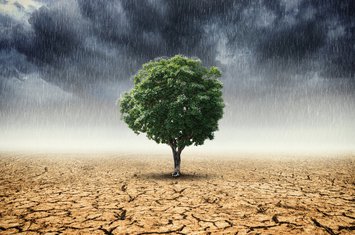 Klimatske promjene
