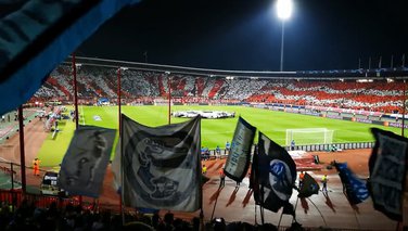 Zvezda-Napoli, navijači, koreografija