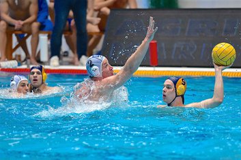 Đuro Radović VK Jadran Carine