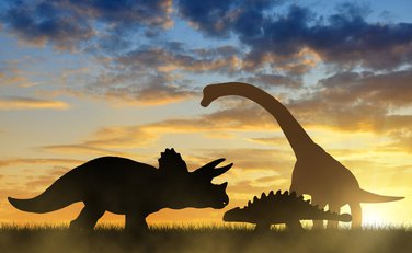 dinosaurus, dinosaurusi