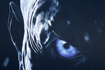 bijeli šetaći, igra prestola, game of thrones