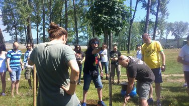 Lake fest sadnja