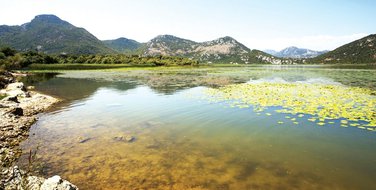 Skadarsko jezero