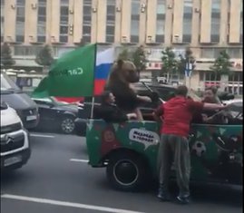medvjed Moskva