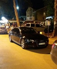 audi Brajović