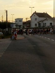 voz, kvar, Golubovci