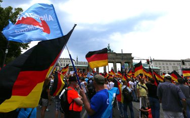 Afd Berlin protest