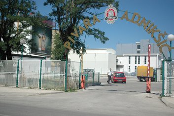 Trebjesa