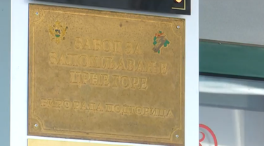 ZZZCG, Zavod za zapošljavanje