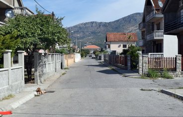 Masline