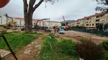 Mimoza grupa Tivat