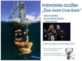 podvodna izložba Kotor