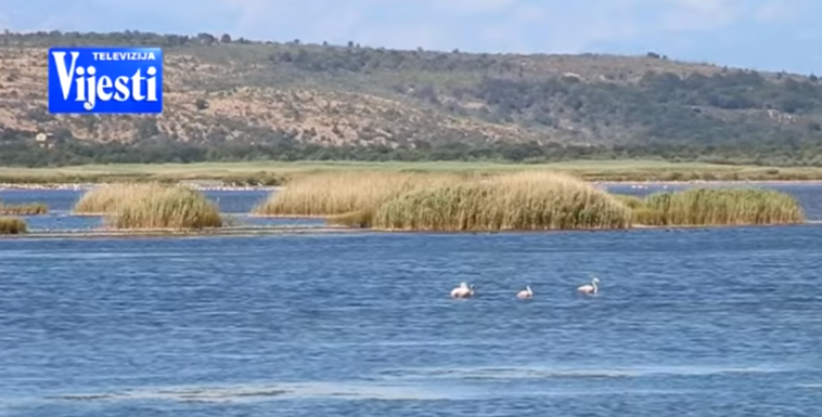 solana Ulcinj, ulcinjska solana