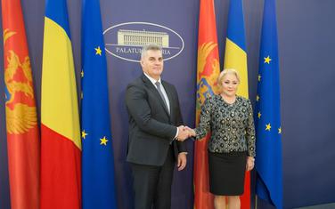 Ivan Brajović i Viorika Dančila
