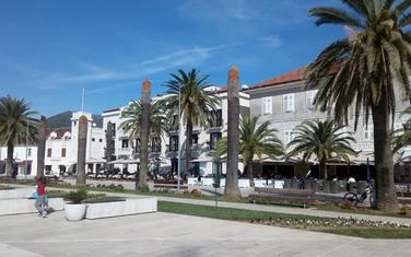 Posječene palme na gradskoj rivi Pine