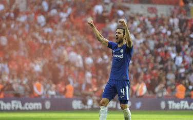 Sesk Fabregas
