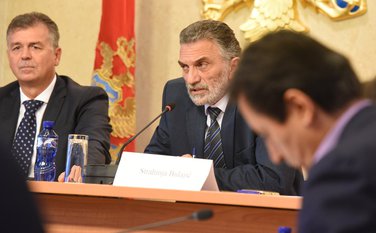 Odbor za reformu izbornog i drugog zakonodavstva, Branimir Gvozdenović, Strahinja Bulajić