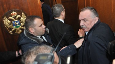 Branko Radulović