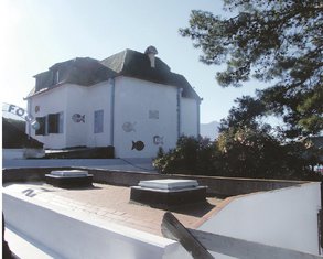 Vila Manojlović