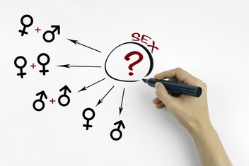 seksualno obrazovanje