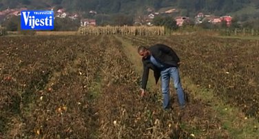poljoprivrednici, šteta