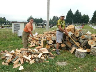 Arsenije Jovanović, Slavoljub Vulević