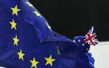 Protivnik izlaska Britanije iz EU ispred britanskog Parlamenta