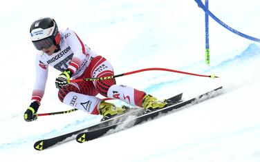 Nikol Šmidhofer