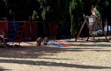 Vrtić, Pobrežje