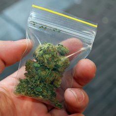 marihuana