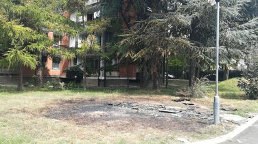 strahinja stojanović eksplozija (novine)
