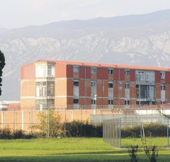 Spuž