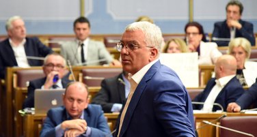 Andrija Mandić, DF