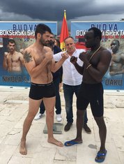 Nikola Sjekloća